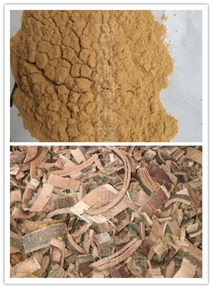 秦皮提取物、白蠟樹提取物